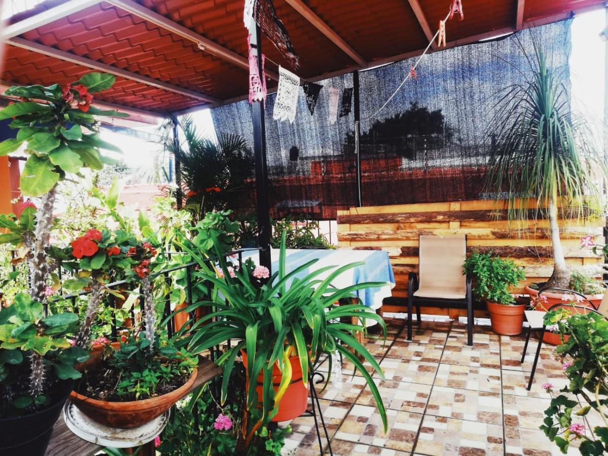 El Rincon De Dona Bety Hotel Oaxaca Ngoại thất bức ảnh